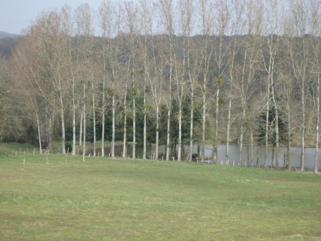 7 , Le Haut Montraye Pace  Exterior photo